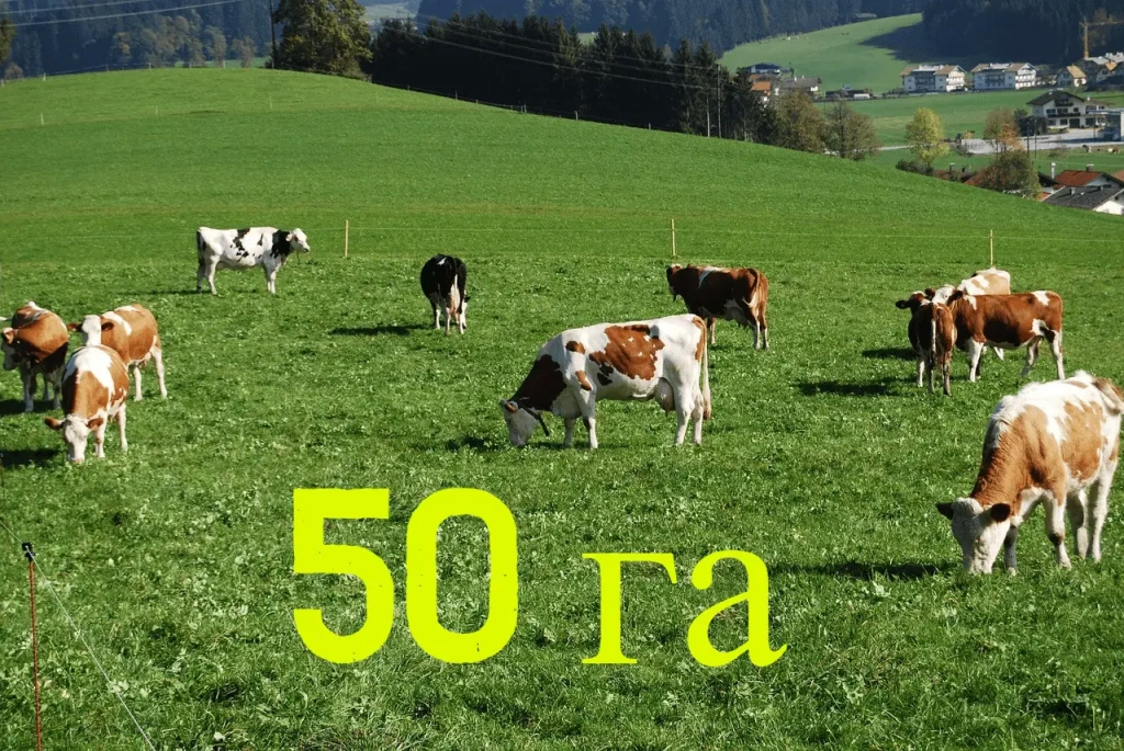 Комплект электропастуха на 50 га (для КРС, лошадей)