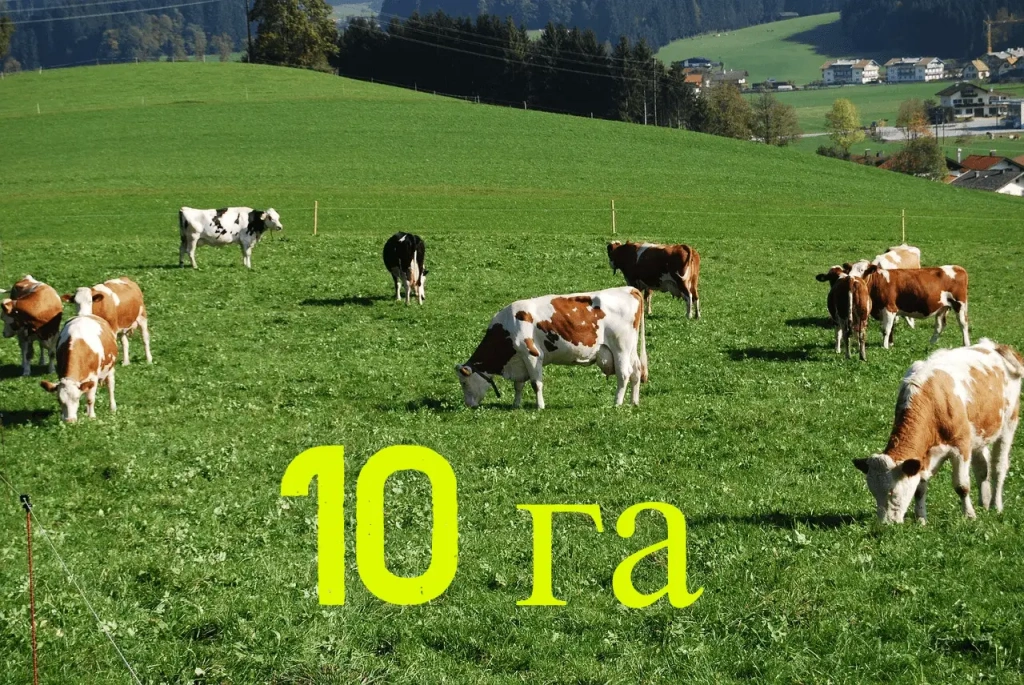 Комплект электропастуха на 10 га (для КРС, лошадей)